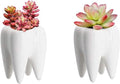 Set van 2 keramische bloempotten in neutrale kleur, perfect voor vetplanten en cactussen, ideaal als stijlvolle bureau decoratie en voor binnengebruik