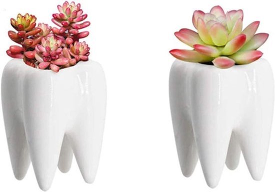 Set van 2 keramische bloempotten in neutrale kleur, perfect voor vetplanten en cactussen, ideaal als stijlvolle bureau decoratie en voor binnengebruik