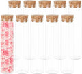 Glazen reageerbuisjes (60 ml) met kurkstop - set van 10 stuks voor laboratorium, cadeautjes, zoetigheden - helder glas - mini flesjes voor specerijen en kralen