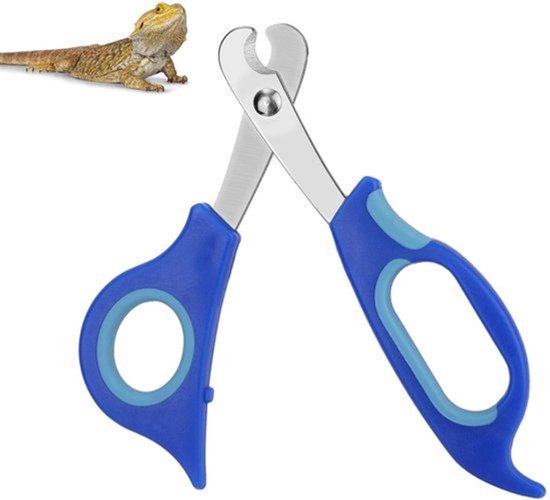 Bearded Dragon Nagelknipper - RVS - Professioneel Gereedschap voor Kleine Reptielen met Precieze Afschuining