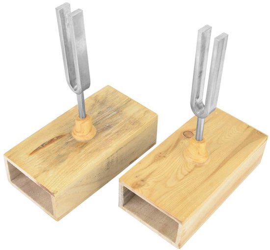 2 Stuks Stemvork 440HZ, Stemvork, Vibratie Stemvork Resonantie Stemvork met Houten Resonatorbox Experimenteel Instrument met Stemvork Klopper 6,5 X 16 Mm
