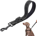 Korte Sterke Hondenlijn, Trainingslijn voor Honden met Polsband, D-Carabiner 2.5 cm x 30 cm, Honden Recall Lijn, Robuuste PVC Lijn, Waterdichte Recall Lijn met Metalen Haken