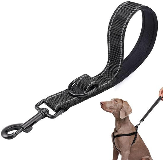 Korte Sterke Hondenlijn, Trainingslijn voor Honden met Polsband, D-Carabiner 2.5 cm x 30 cm, Honden Recall Lijn, Robuuste PVC Lijn, Waterdichte Recall Lijn met Metalen Haken