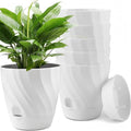 Set van 6 zelfbewaterende plantenpotten van 12 cm in wit, ideaal voor kruiden, orchideeën en bonsaiplanten met handig waterreservoir voor optimale verzorging