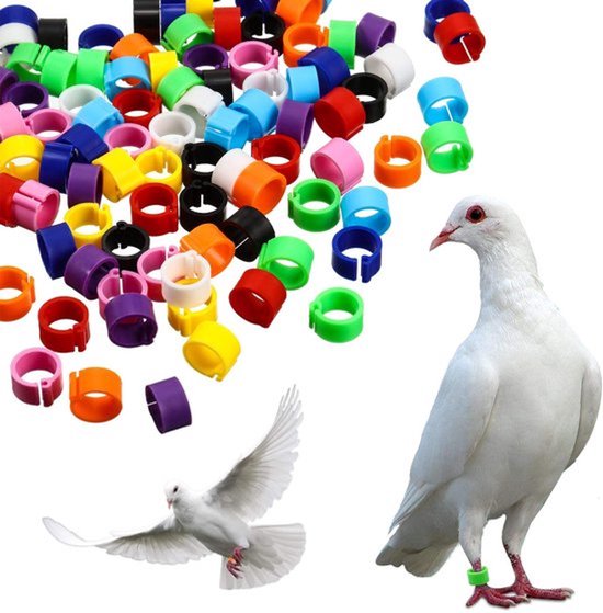 Vogelringen, Duivenringen, Kwartelringen, Kippenringen, 200 Stuks, Plastic Identificatiering, Pluimvee Tyre, Klemringen voor Markering voor Vogel, Papegaai, Duif, Kwartel, Kuiken, 8 mm, Gemengd