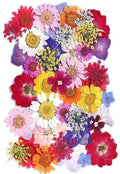 Kleurrijke gedroogde geperste bloemen voor sieraden en DIY-creaties